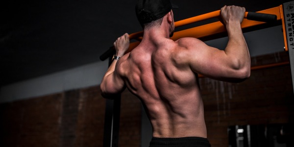 Consejos sobre cómo fortalecer la musculatura de la espalda
